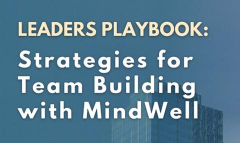 Leaders Playbook Link