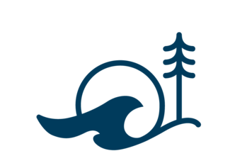 wave and sunrise at base of evergreen tree